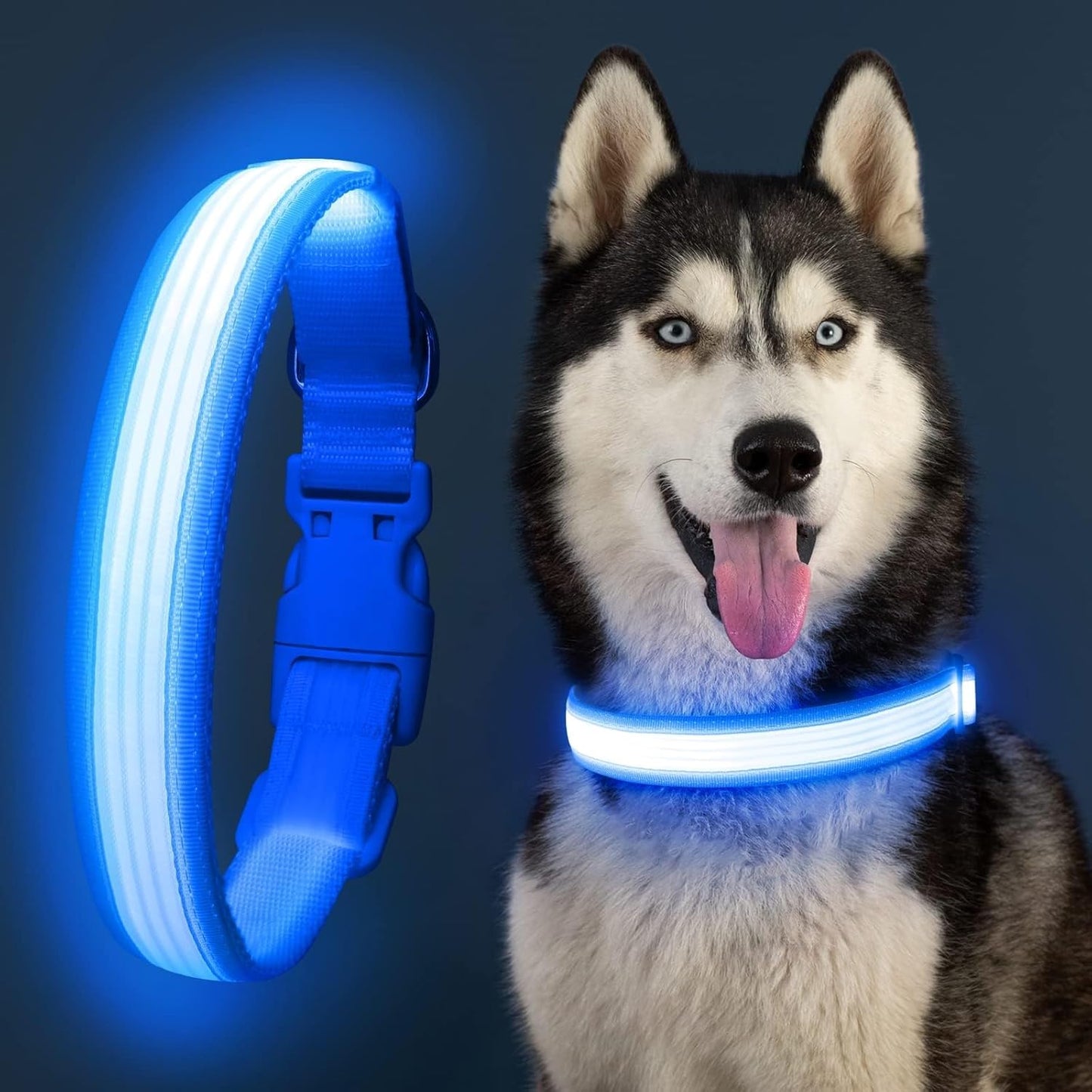 USB Rechargeable LED Dog Collar for Night Walks