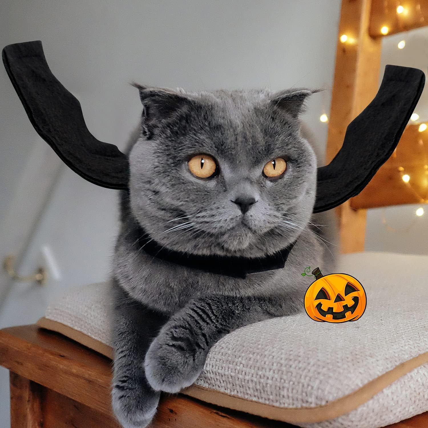 Halloween Bat Wings Costume for Cats & Small Dogs – Lightweight Adjustable Pet Costum