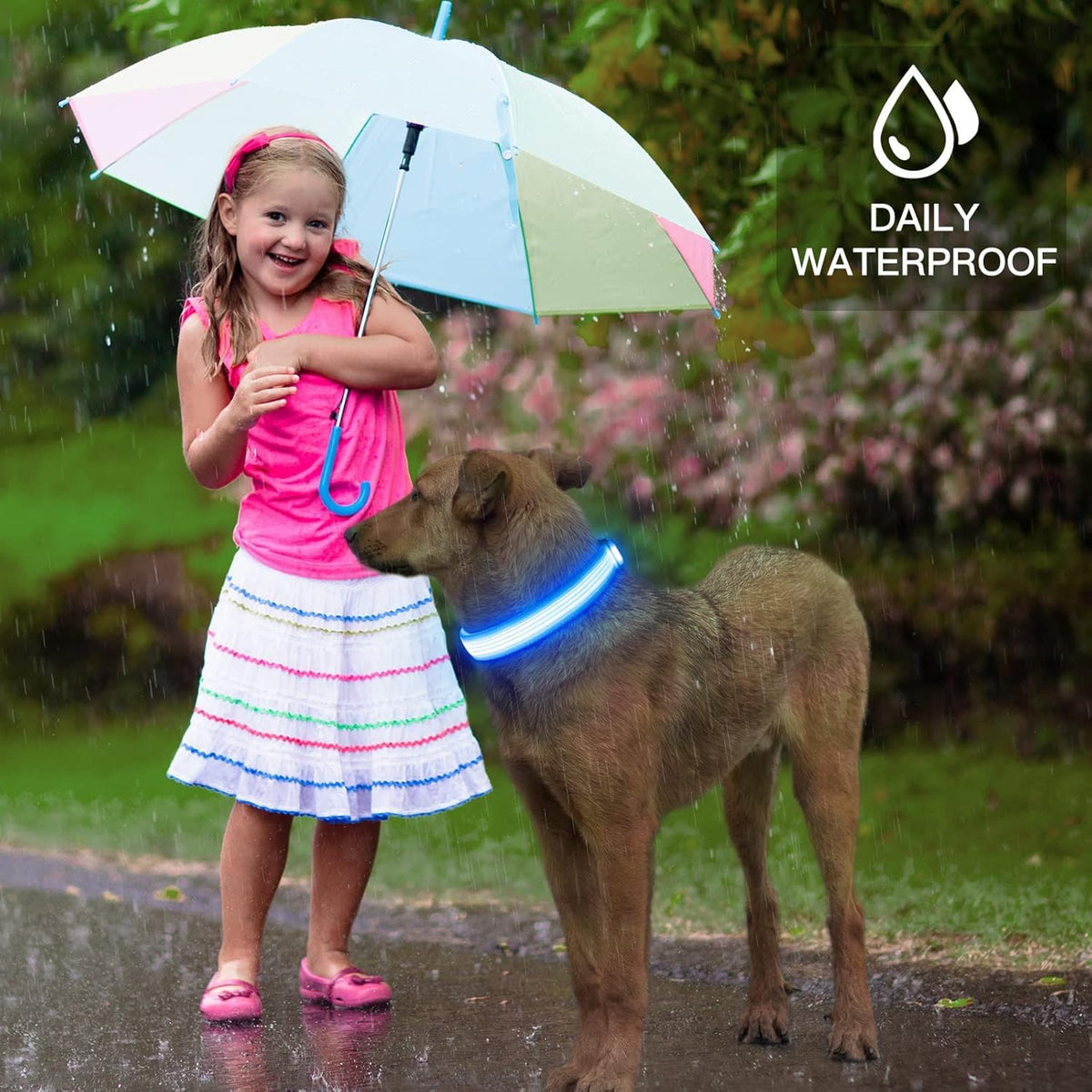 USB Rechargeable LED Dog Collar for Night Walks