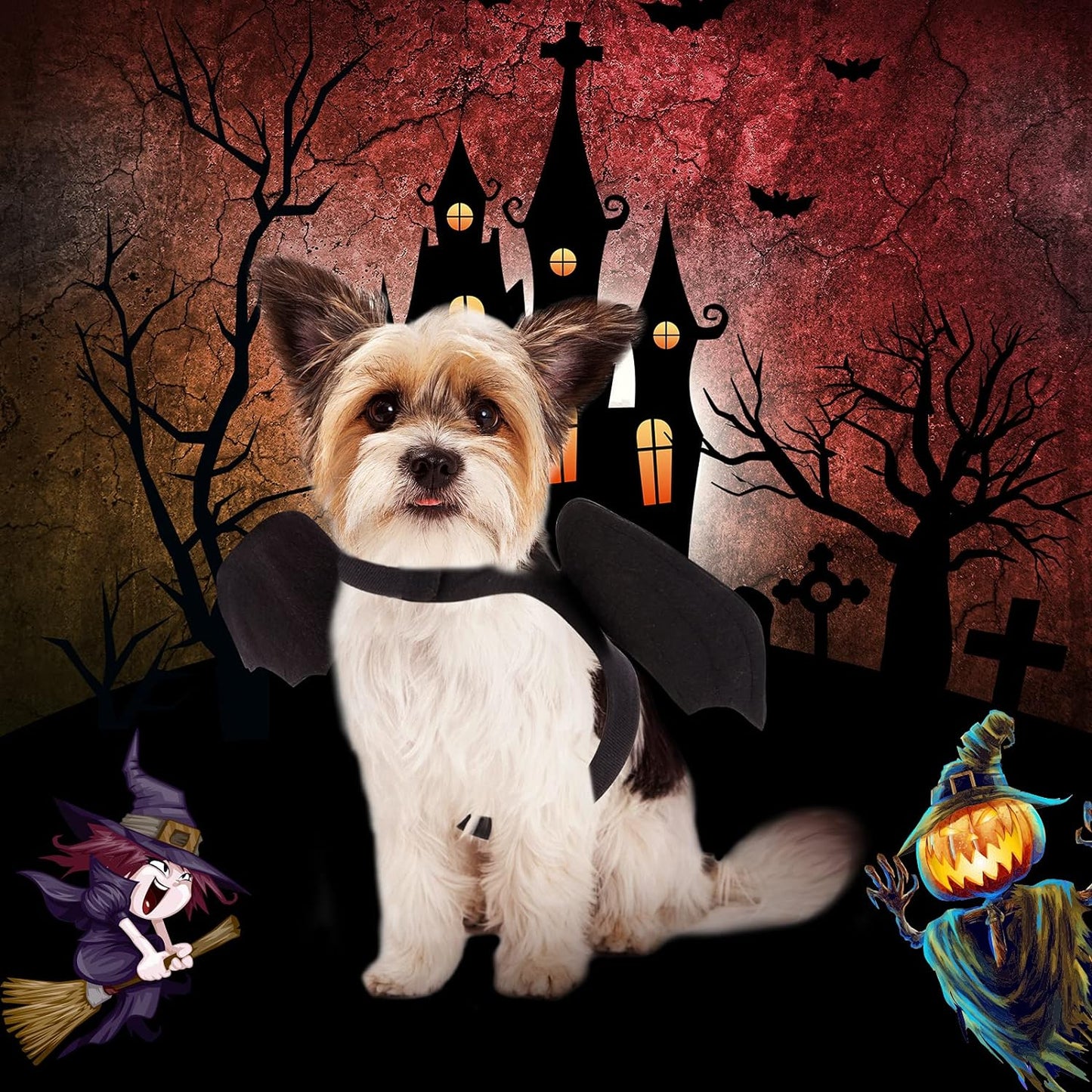 Halloween Bat Wings Costume for Cats & Small Dogs – Lightweight Adjustable Pet Costum