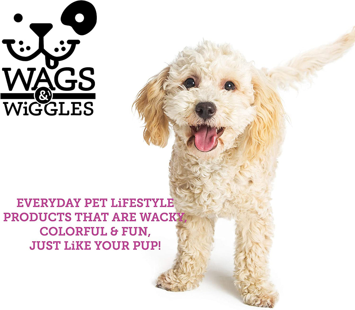 Wags & Wiggles Zesty Grapefruit Dog Deodorizing Spray, 12 fl oz (2-Pack)