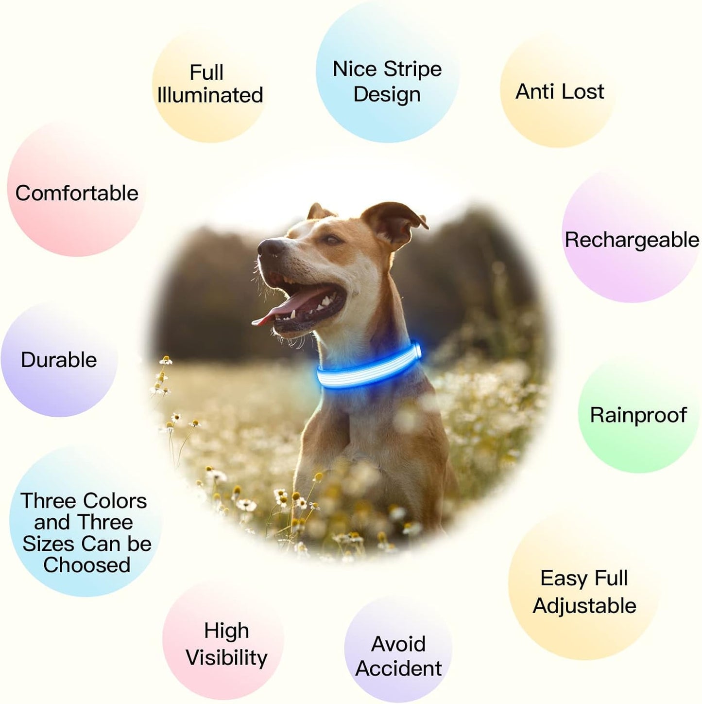 USB Rechargeable LED Dog Collar for Night Walks